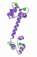 calmpurple_72x3_rupp.gif (6209 bytes)