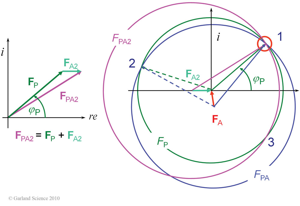 Biomolecular_Crystallography_Fig_10-17