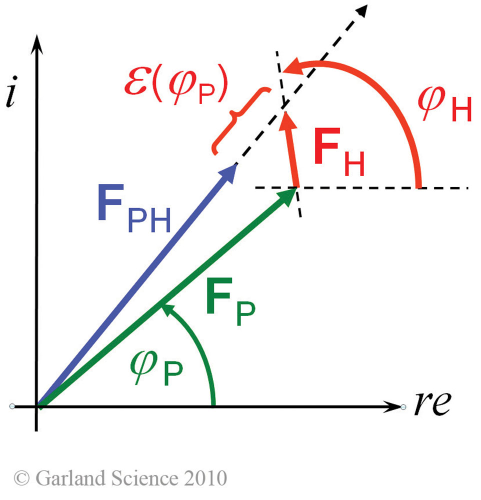 Biomolecular_Crystallography_Fig_10-21