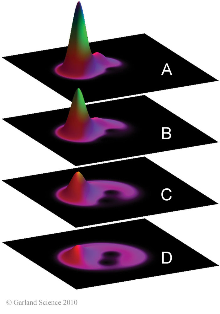 Biomolecular_Crystallography_Fig_10-23