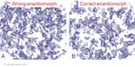 Biomolecular_Crystallography_Fig_10-15