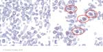 Biomolecular_Crystallography_Fig_10-31_PART2
