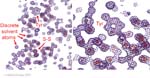 Biomolecular_Crystallography_Fig_10-33