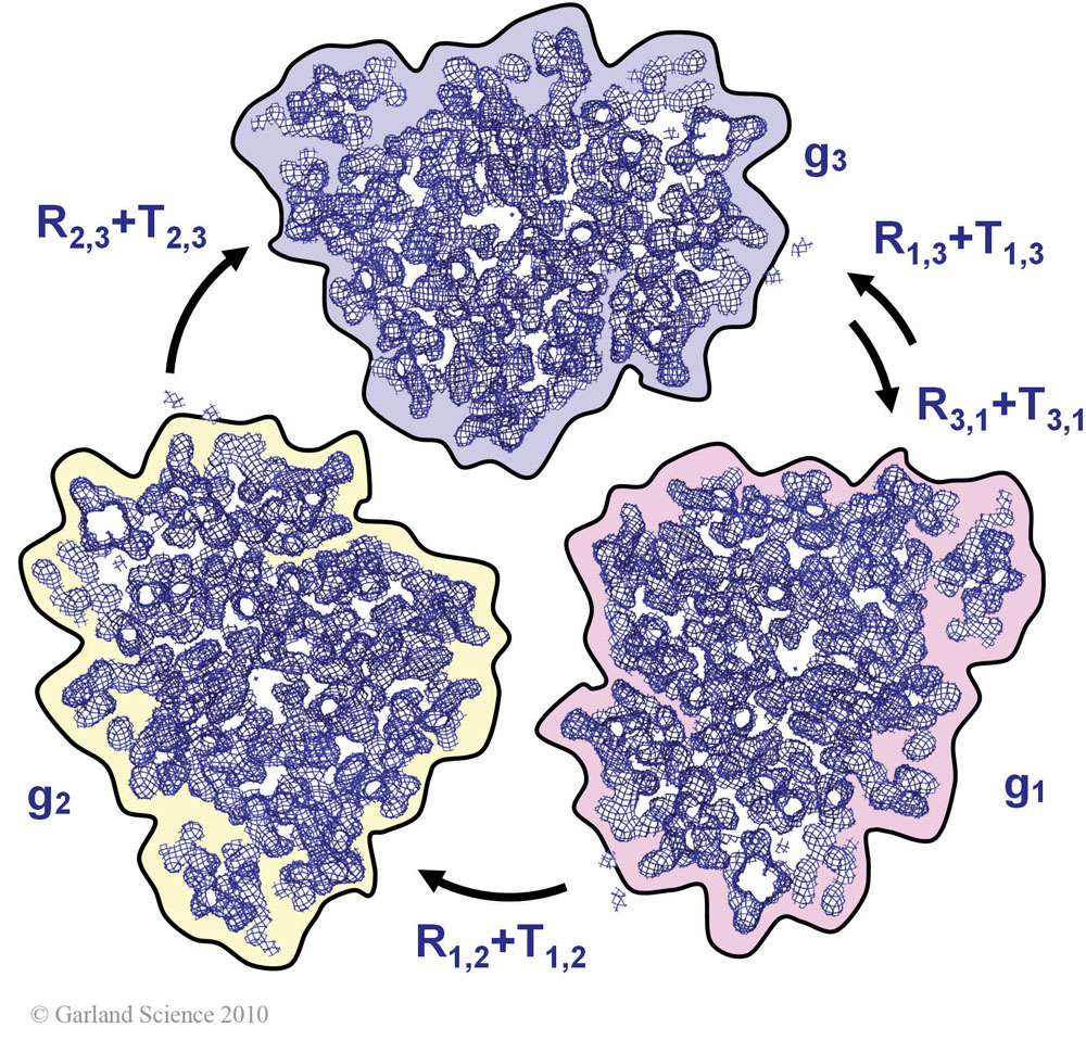 Biomolecular_Crystallography_Fig_11-14