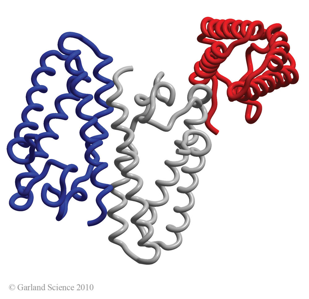 Biomolecular_Crystallography_Fig_11-22