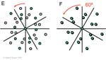 Biomolecular_Crystallography_Fig_11-24_PART3