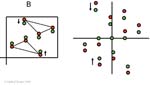 Biomolecular_Crystallography_Fig_11-25_PART2
