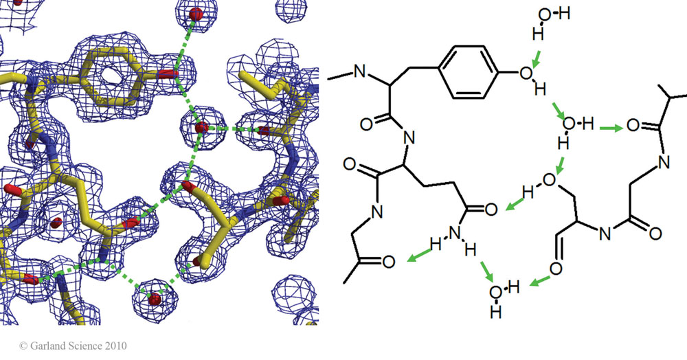 Biomolecular_Crystallography_Fig_12-27