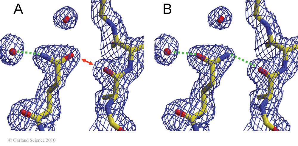 Biomolecular_Crystallography_Fig_12-32