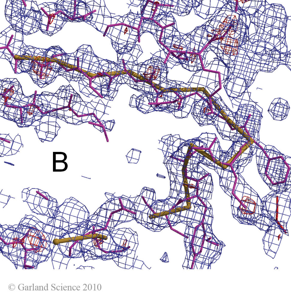 Biomolecular_Crystallography_Fig_12-37_B