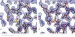 Biomolecular_Crystallography_Fig_12-35