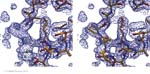 Biomolecular_Crystallography_Fig_12-36