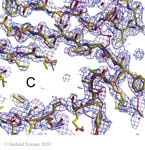Biomolecular_Crystallography_Fig_12-37_C