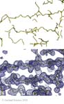 Biomolecular_Crystallography_Fig_12-39