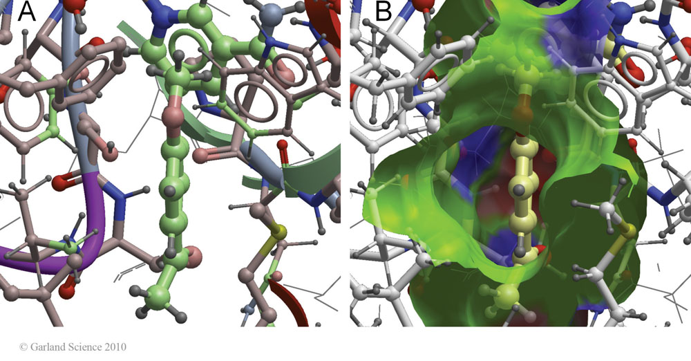 Biomolecular_Crystallography_Fig_13-14