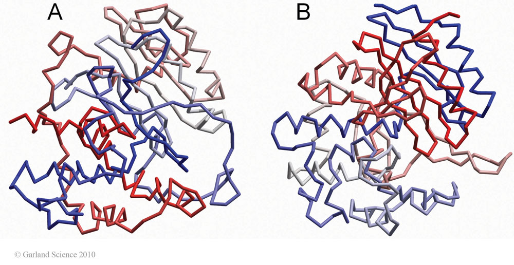 Biomolecular_Crystallography_Fig_13-17