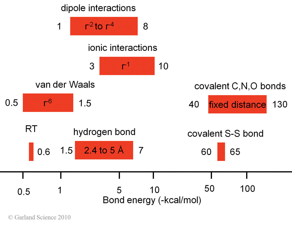 Biomolecular_Crystallography_Fig_2-29