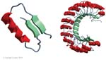 Biomolecular_Crystallography_Fig_2-35