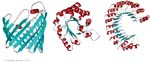 Biomolecular_Crystallography_Fig_2-37_B
