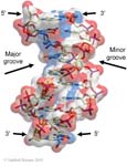 Biomolecular_Crystallography_Fig_2-44