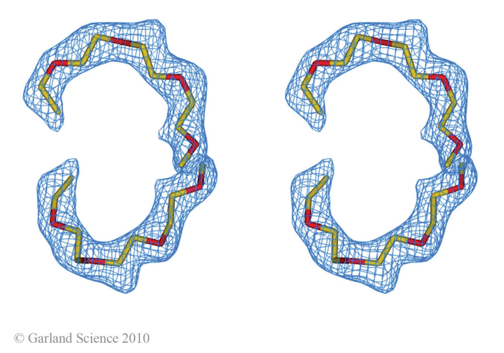 Biomolecular_Crystallography_Fig_3-15