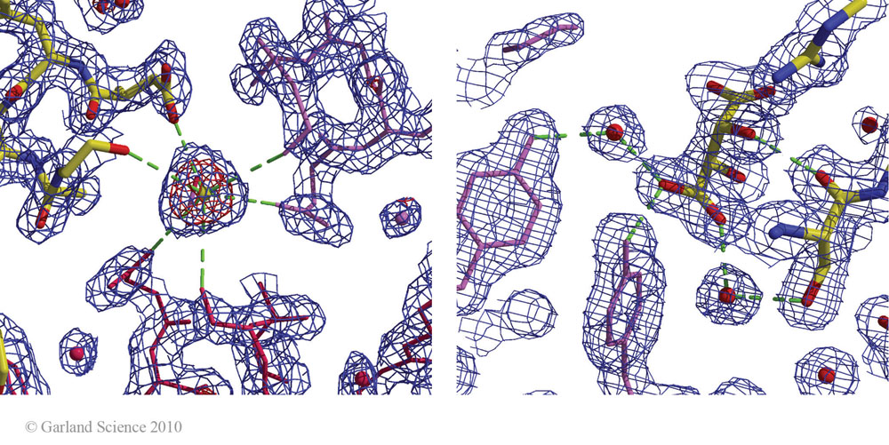Biomolecular_Crystallography_Fig_3-16