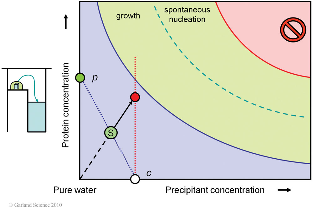 Biomolecular_Crystallography_Fig_3-22