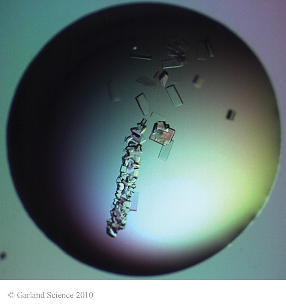 Biomolecular_Crystallography_Fig_3-32