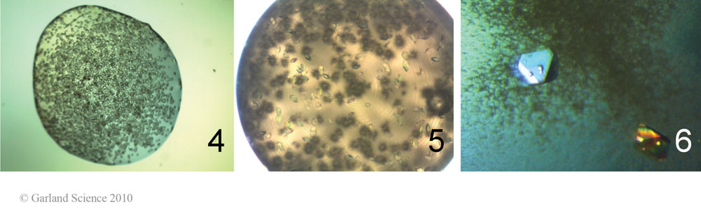 Biomolecular_Crystallography_Fig_3-37_Part2