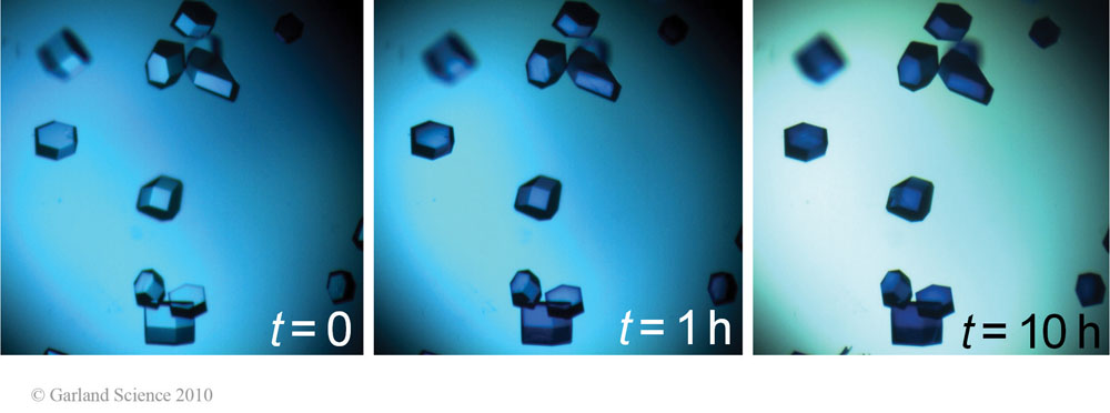 Biomolecular_Crystallography_Fig_3-38