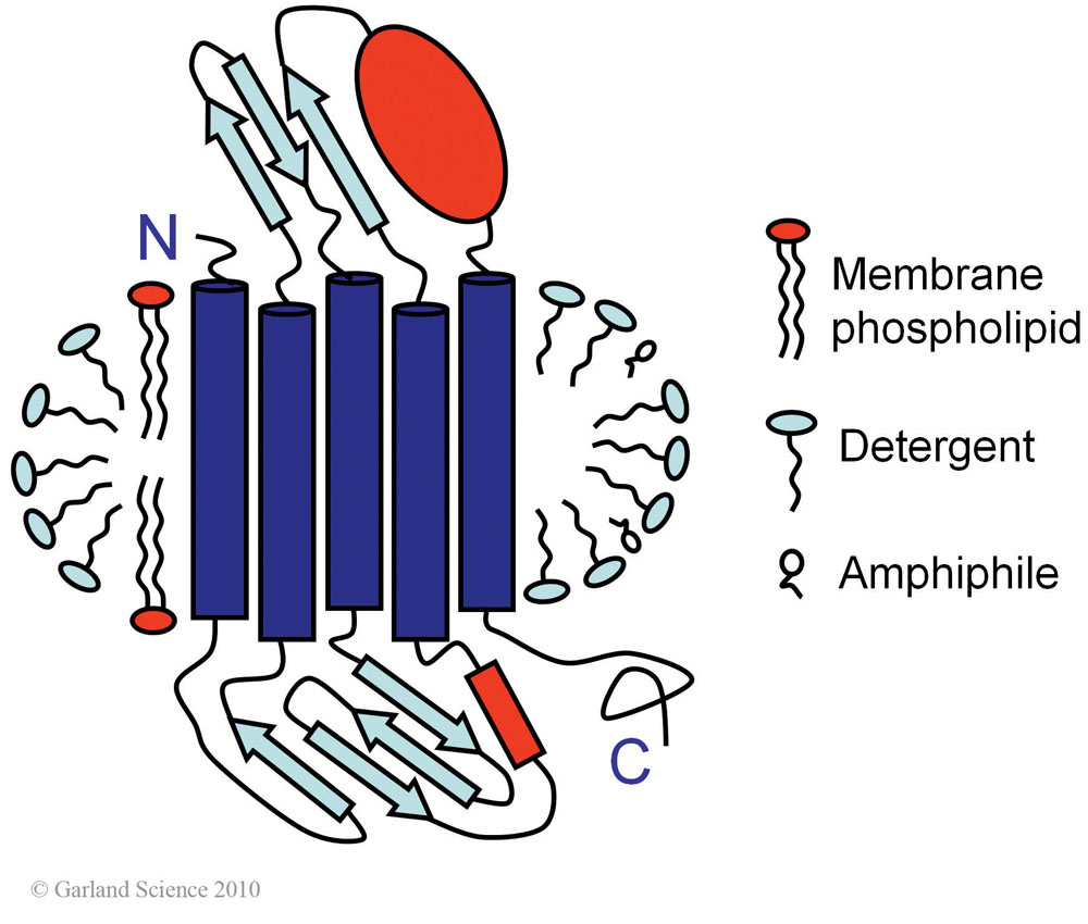 Biomolecular_Crystallography_Fig_3-43