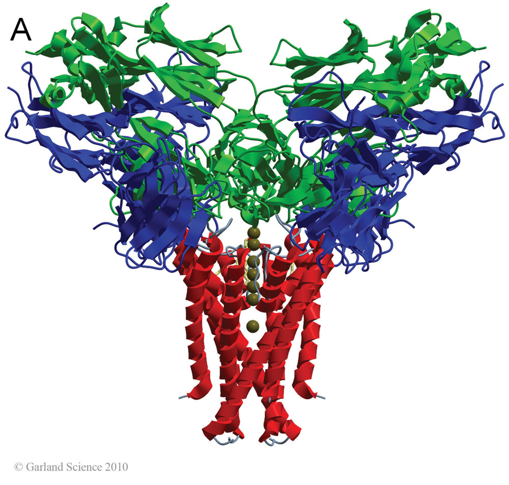 Biomolecular_Crystallography_Fig_3-47_A