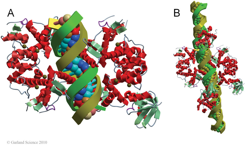 Biomolecular_Crystallography_Fig_3-48