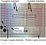 Biomolecular_Crystallography_Fig_3-30