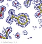 Biomolecular_Crystallography_Fig_3-41