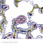 Biomolecular_Crystallography_Fig_3-42