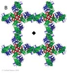 Biomolecular_Crystallography_Fig_3-47_B