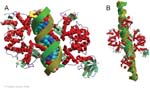 Biomolecular_Crystallography_Fig_3-48