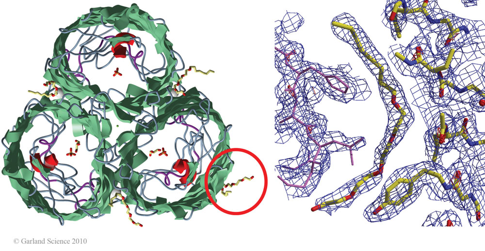 Biomolecular_Crystallography_Fig_4-18