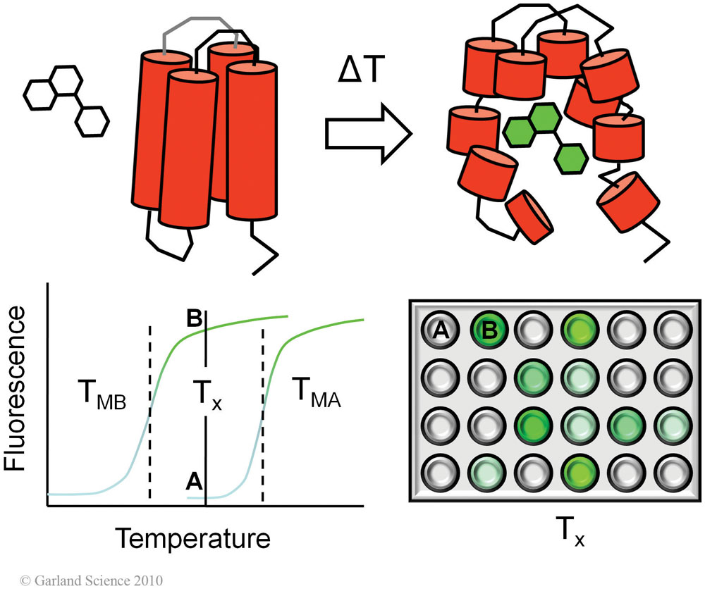Biomolecular_Crystallography_Fig_4-21