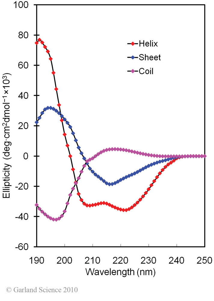 Biomolecular_Crystallography_Fig_4-26_A