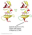 Biomolecular_Crystallography_Fig_4-29