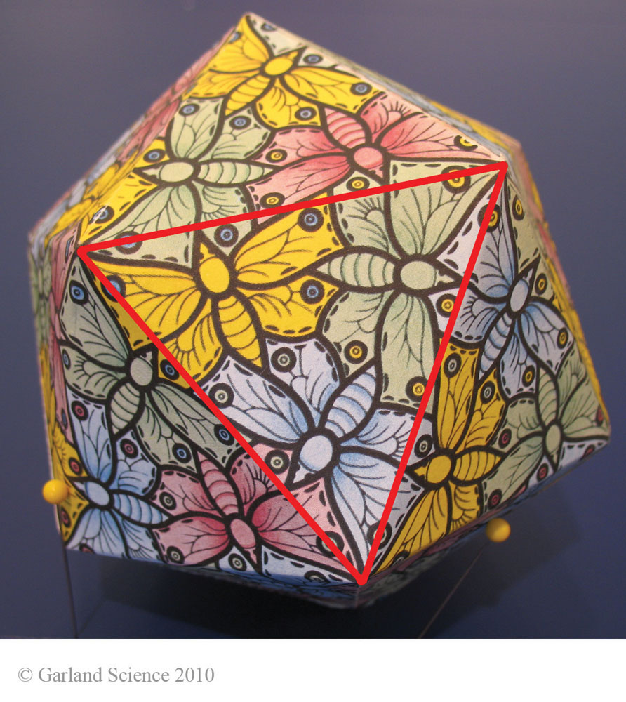 Biomolecular_Crystallography_Fig_5-18