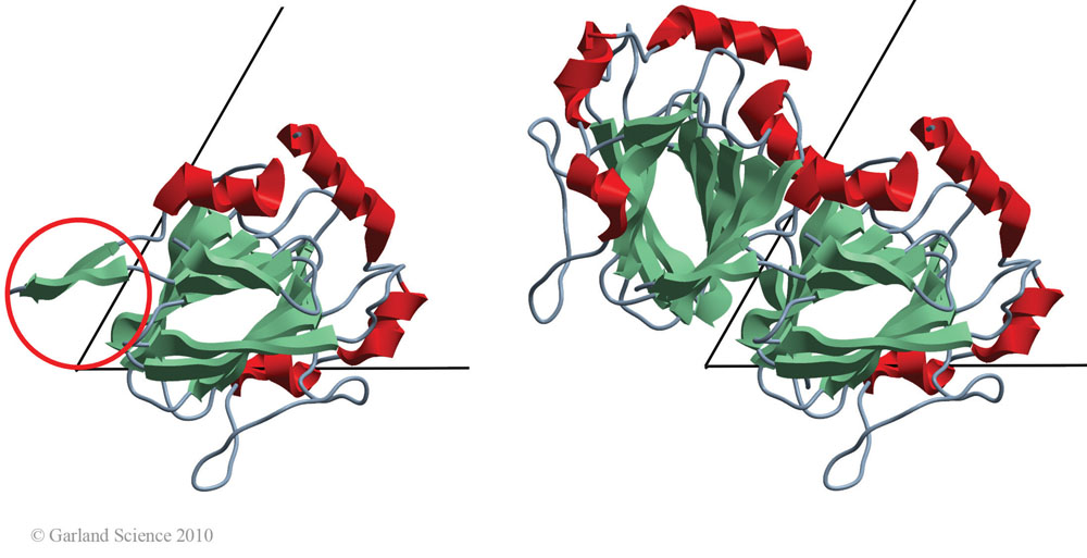 Biomolecular_Crystallography_Fig_5-21