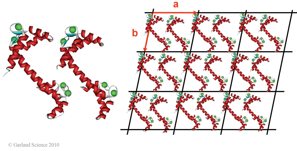 Biomolecular_Crystallography_Fig_5-22