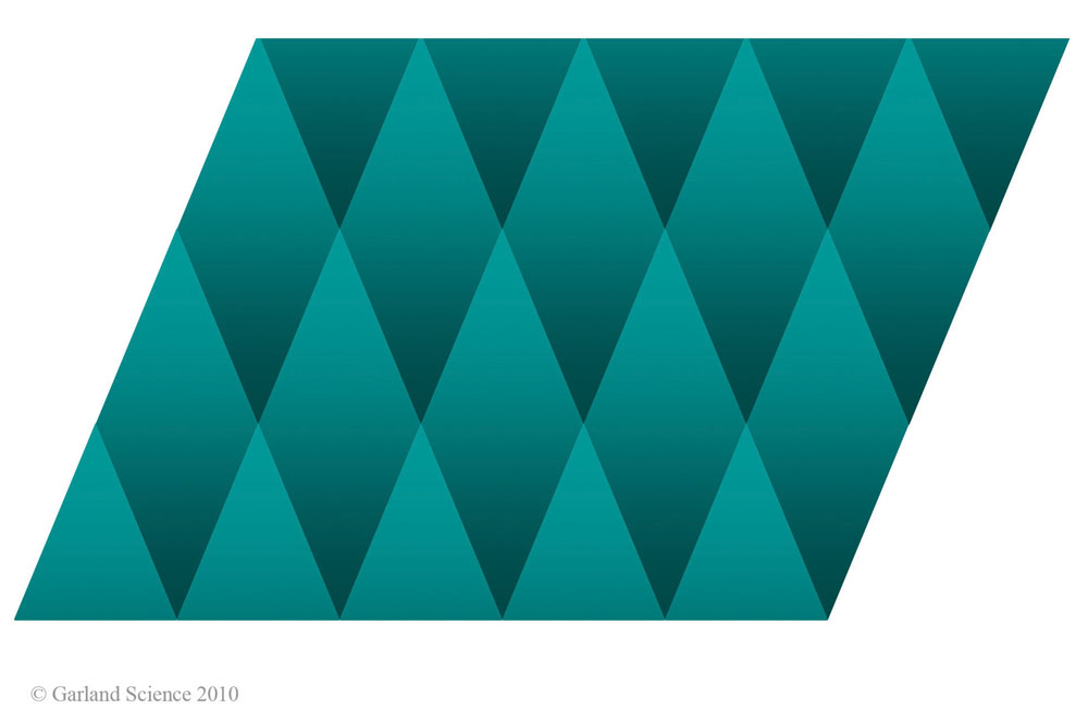 Biomolecular_Crystallography_Fig_5-23