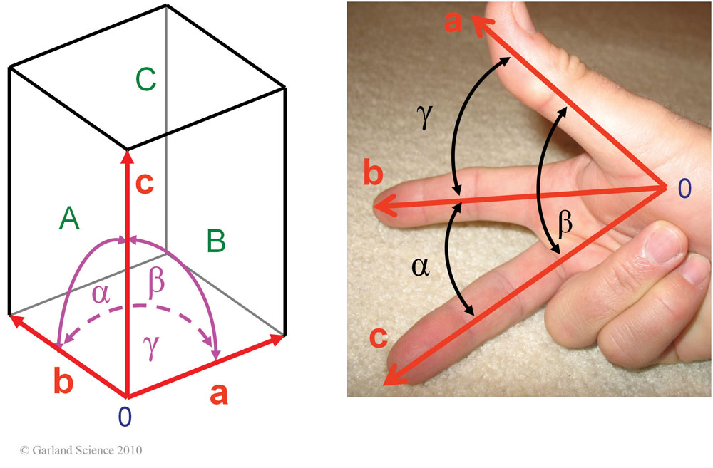 Biomolecular_Crystallography_Fig_5-25