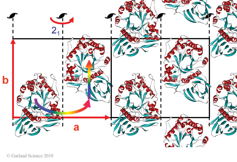 Biomolecular_Crystallography_Fig_5-32