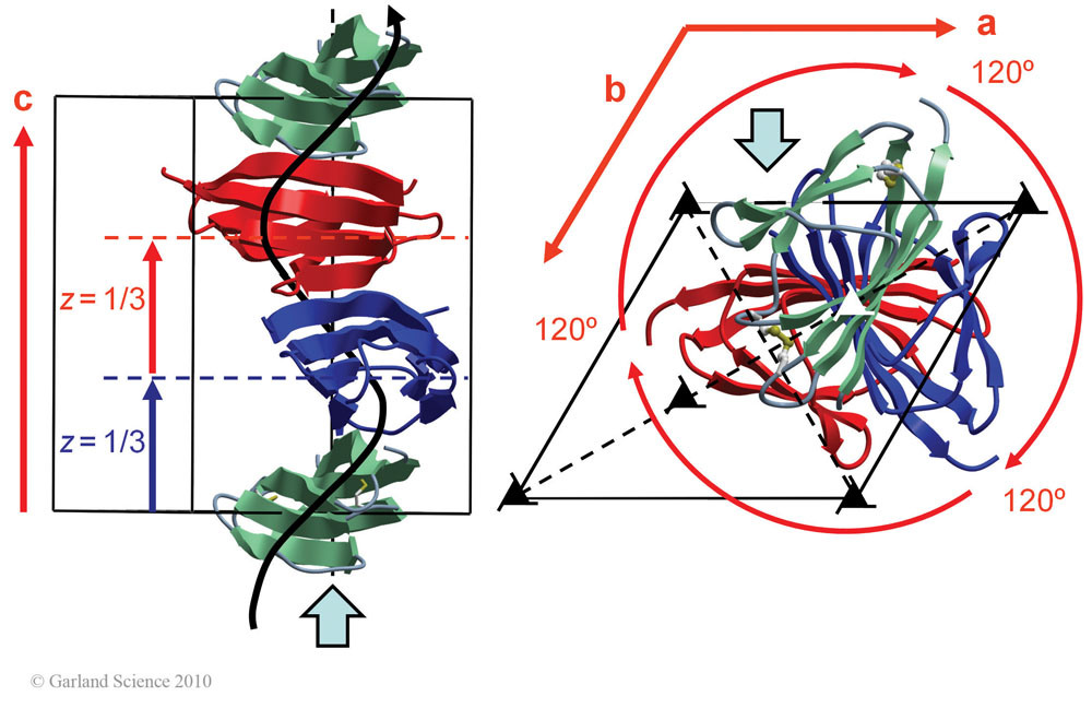 Biomolecular_Crystallography_Fig_5-33