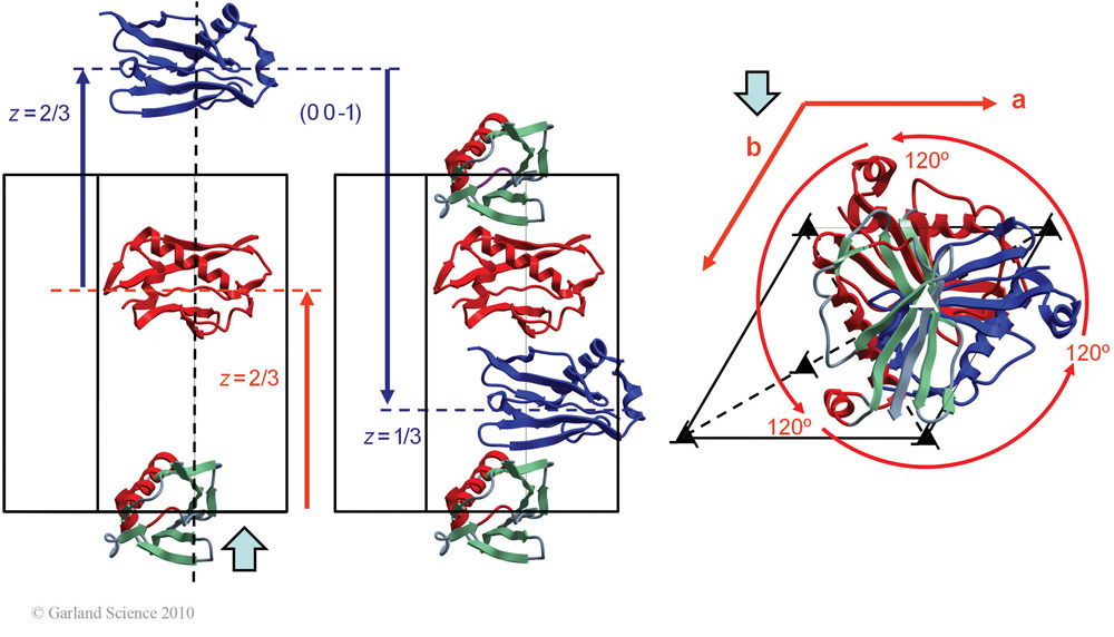 Biomolecular_Crystallography_Fig_5-34
